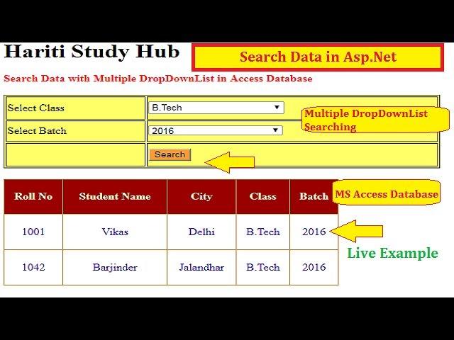 Search Data with Multiple DropDownList Control in Asp.Net C# | Hindi | MS Access Database