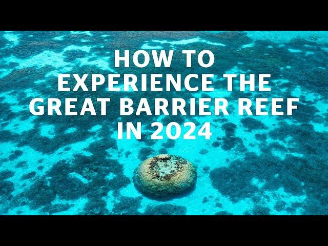 How to experience The Great Barrier Reef in 2024