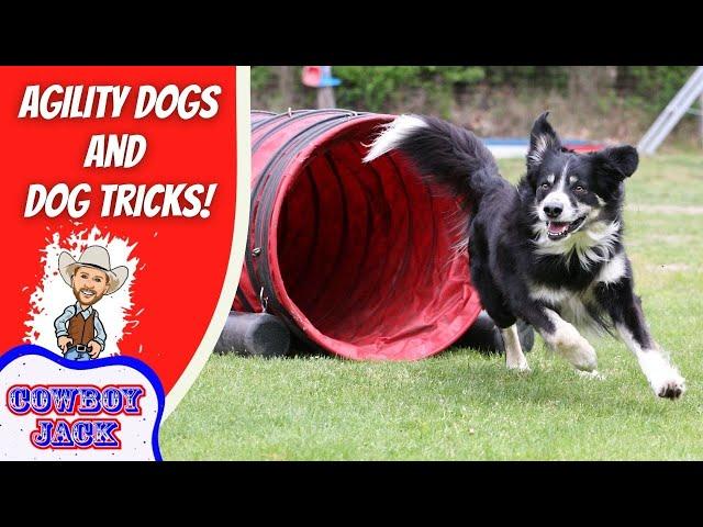 Dog Tricks for Kids | Cowboy Jack