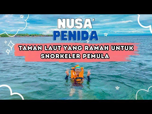 SNORKELING DI NUSA PENIDA | JARANG WISATAWAN LOKAL