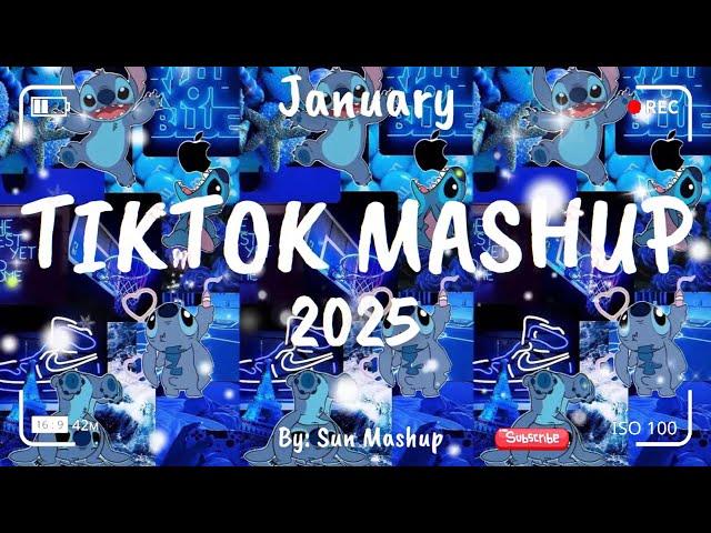 Tiktok Mashup January 2025 (Not Clean)