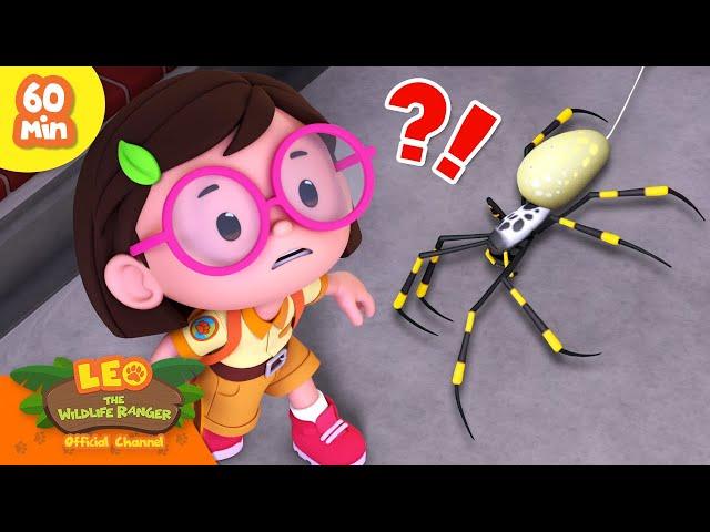 ITSY BITSY SPIDER ON THE WALL?! ️️ | 60 MIN | Leo the Wildlife Ranger | Kids Cartoons