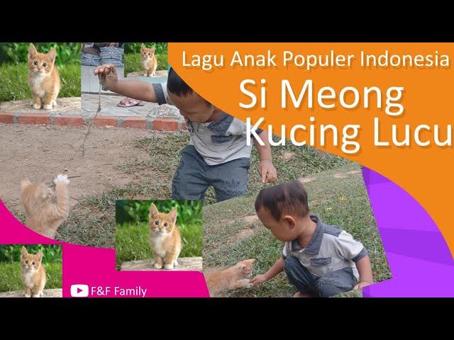 Si Meong Kucing Lucu   Lagu Anak Populer Indonesia