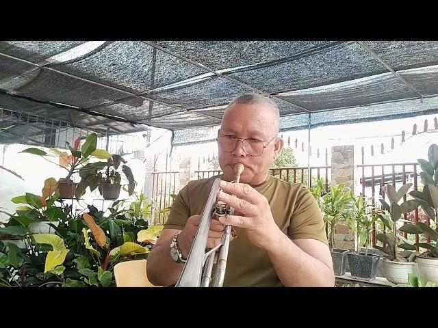 BEE GEES Medley (Trumpet) cover by Edison Bartolay