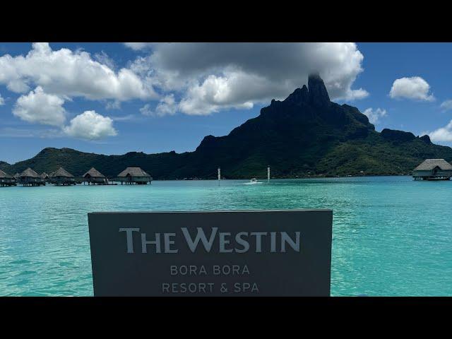 The Westin Bora Bora -  Review #travel #borabora #vacation