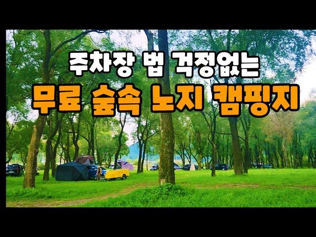 주차장법 눈치보지말고 여기로오세요 | 조용한숲속노지  | 정선무료캠핑지