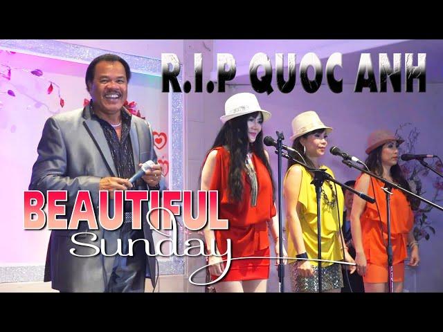 BEAUTIFUL SUNDAY | QUOC ANH & SWEET ROSES | LAST VIDEO OF QUOC ANH | TƯỞNG NHỚ ĐẾN CA SĨ QUỐC ANH 