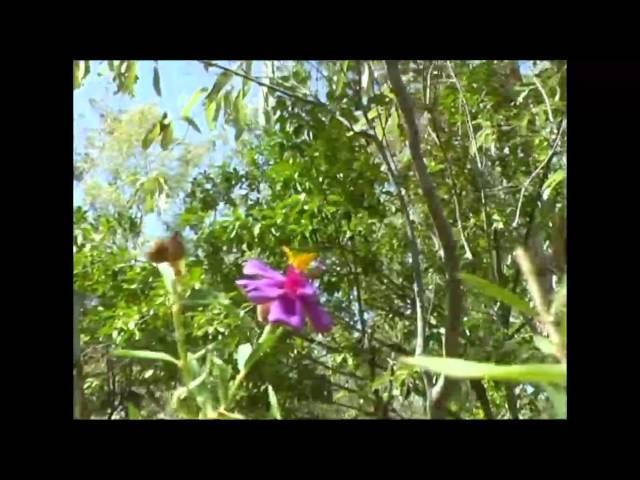 Naturwunder Australien 6: Gunlom Falls - Edith Falls