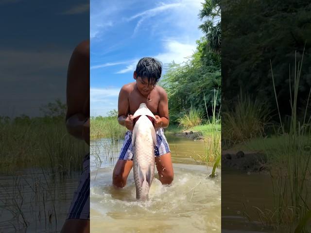 Giant Fish Fry#shorts