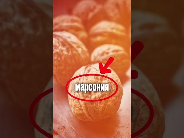 А вы это знали?  #огород #дача