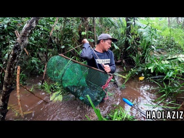 spot bubu dilanda banjir. pesta ikan keli limbat  part 1 EPS.90