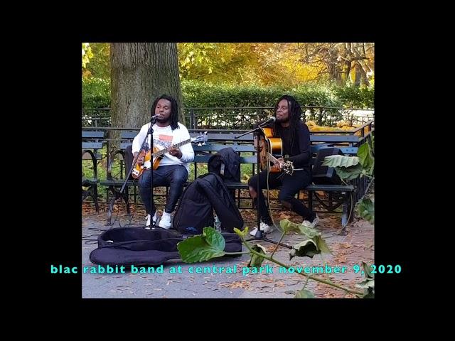 Blac Rabbit busking the Beatles at Central Park, NYC November 9, 2020