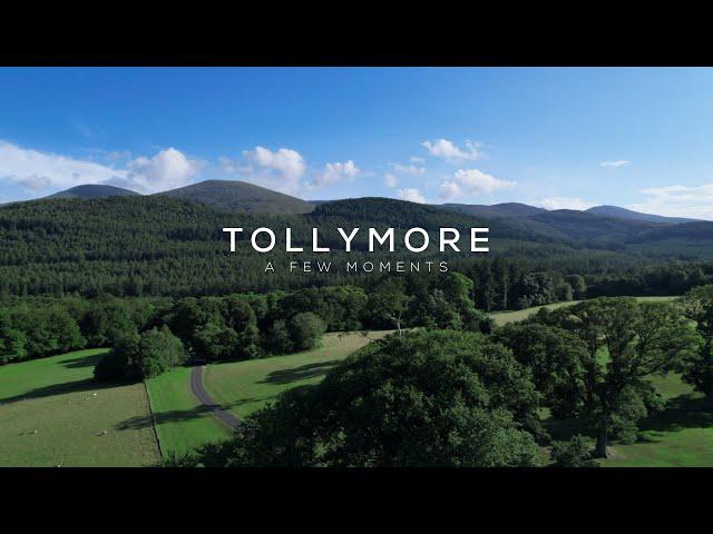 Tollymore Forest Park - A few moments (Cinematic Drone Film)