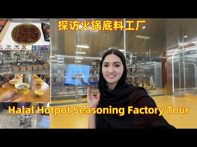 How Halal Hotpot Seasoning is Made｜Factory Tour ! ｜清真火锅底料是怎么做的？｜探访火锅底料工厂｜Mahzaib vlog (200)