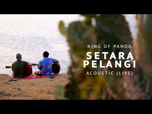 King Of Panda - Setara Pelangi Acoustic (Live Sessions)