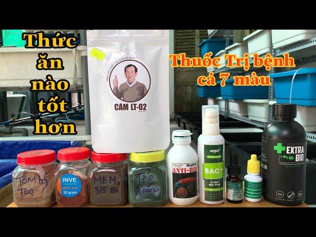 Các Loại Thức Ăn Dành Cho Cá 7 Màu, Và Thuốc Trị bệnh, Vinh Sinh Trong Nước, Hiệu Quả Khi Nuôi Cá