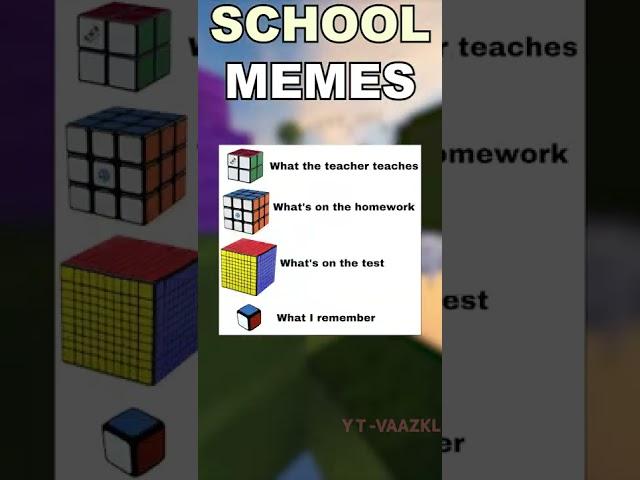 School MEMES! #shorts #minecraft