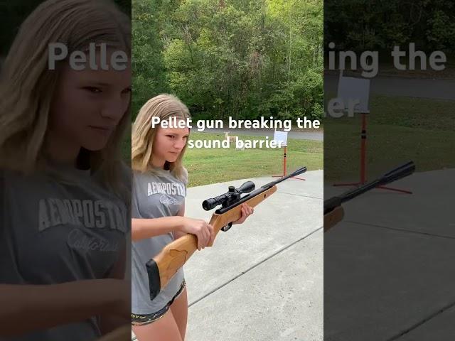 Pellet gun breaking sound barrier #beeman #familyvlog #177 #airgunner #airgunning