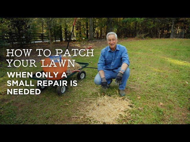 How to Patch Your Lawn When a Small Repair is Needed
