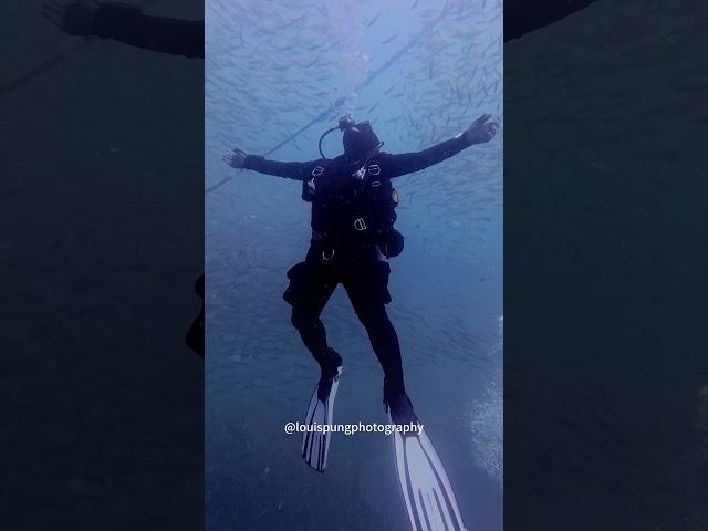 来到亚庇去哪里深潜？ 沙巴潜水 | 沙巴潜水课程 | 沙巴潜水教练 | 沙巴亚庇 | 亚庇潜水 | 古达潜水