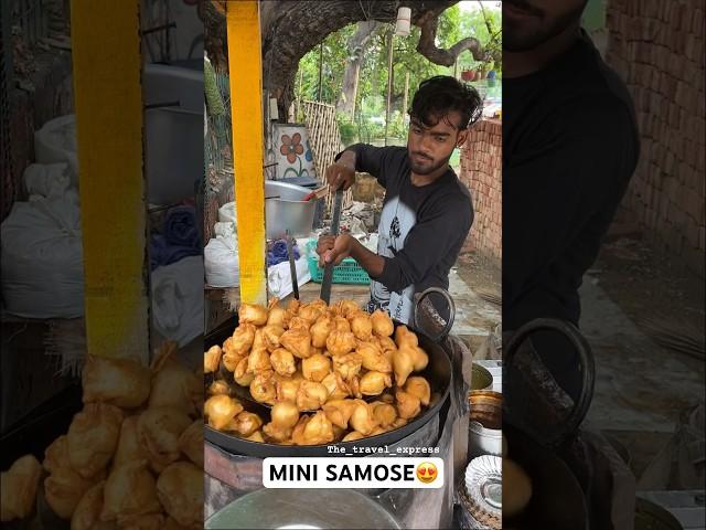 MINI SAMOSE | Indian street food #shorts