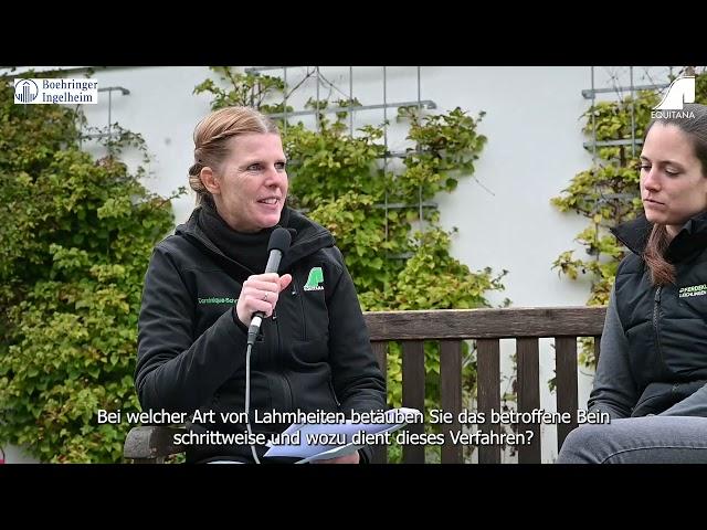 Die EQUITANA Sprechstunde: Lahmheiten beim Pferd