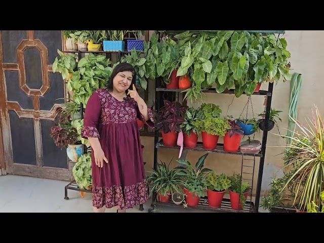 Make These Changes In Your Garden In Winters || Fun Gardening