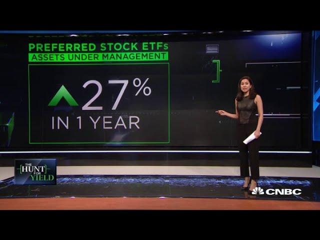 A look at investing in preferred stocks versus common stock