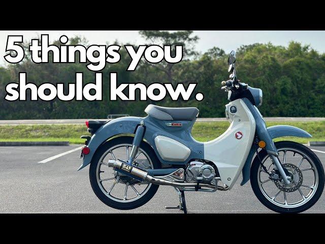 NEW Super Cub (2025) - What you should know before you buy!