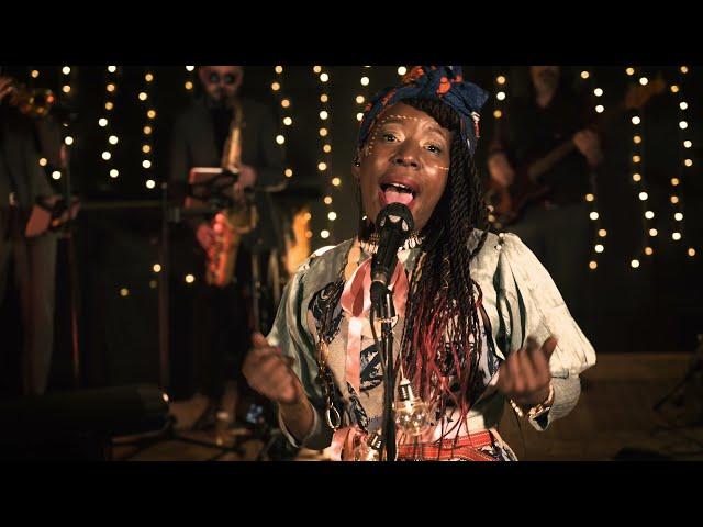 Shirley Davis & The SIlverbacks - Wild Girl (Live Session)