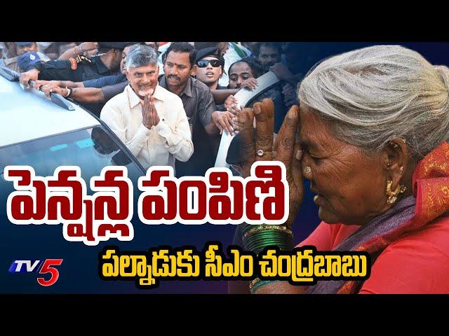 ఏపీలో మొదలైన పెన్షన్ల పండగ...AP CM Chandrababu Naidu Palnadu Tour | Pension Distribution | TV5