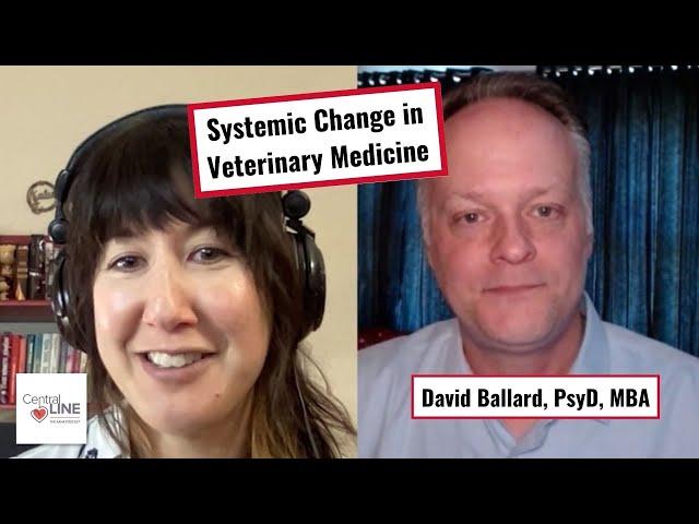 Systemic Change in Veterinary Medicine: Be the Tail That Wags the Dog with David Ballard, PsyD, MBA