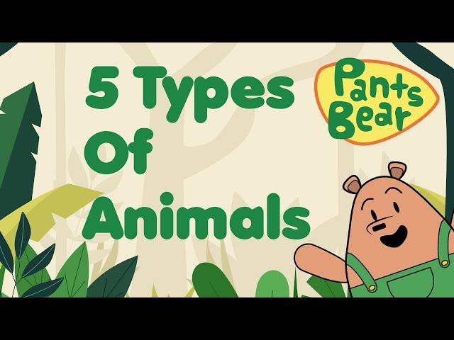 Animal classification for Kids |  Mammals, Birds, Reptiles, Amphibians & Fish | Animal Groups