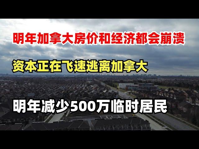 明年加拿大房价和经济都会崩溃，资本正在飞速逃离加拿大，明年减少500万临时居民，现在的房价收入比太夸张了