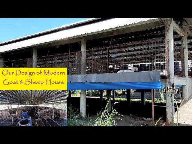 Commercial Goat and Sheep Farm House for Tropical Countries