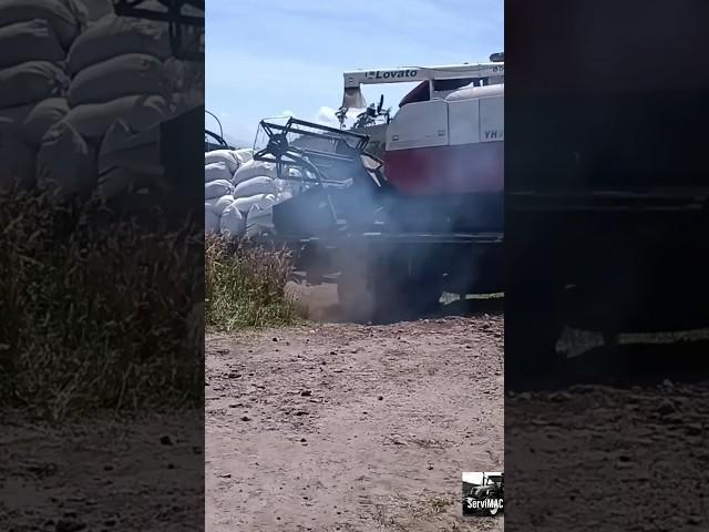 Maquinaria Agrícola Transporte de mini cosechadora de orugas