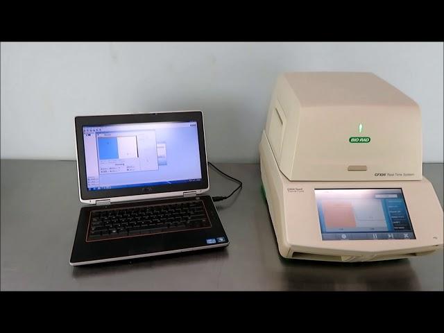 BioRad CFX96 Touch Real Time PCR