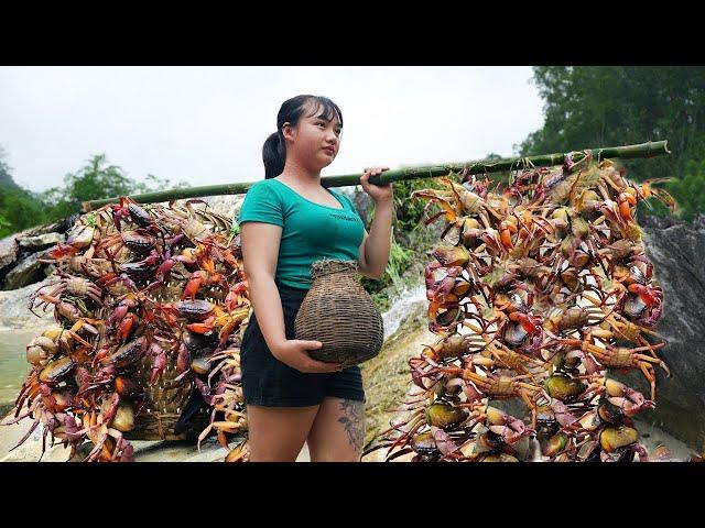 Digging Holes to Catch Wild Crabs - Cooking Crabs With Garlic Butter Sauce/ Vietnamese Village Girl