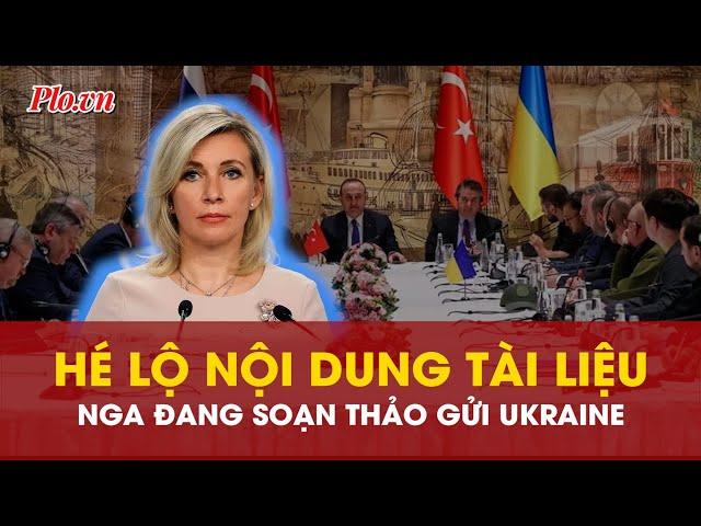 Hé lộ những nội dung trong tài liệu mà Nga đang soạn thảo đề xuất hòa bình với Ukraine - PLO