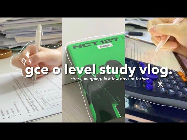 study vlog: the last few days of gce o level  | singapore