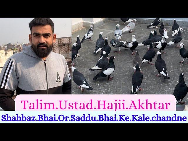 Talim Ustad Hajii Akhtar Seelampur Se Shahbaz Bhai Or Saddu Bhai Ka shok pls subscribe chnl