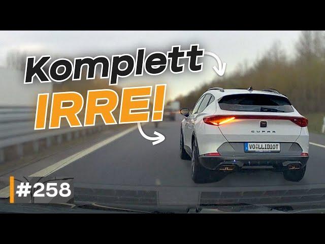 Nötigungen, Ast geschreddert und Überholen über Raststätte! | #GERMAN #DASHCAM | #258