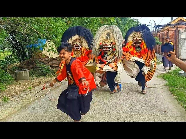 NGAKAK !! BARONGAN LEPAS NGAMUK NGEJAR SANG PAWANG