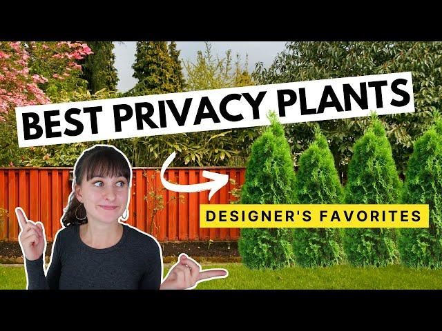 18 Evergreen Tall Narrow Plants for Fence Cover 🪴 + Growth rates for beautiful privacy plants