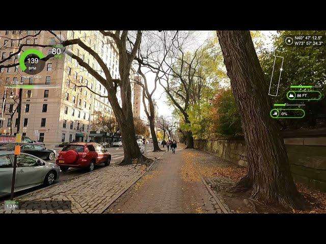 Central Park - Morningside Park Perimeter | Zone 2 Base Training | Virtual Run [025]