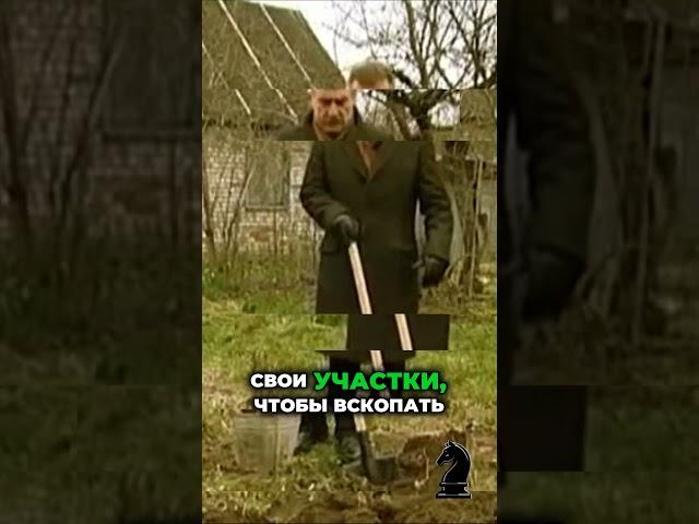 Леонид Каневский. Шесть соток и ведро картошки. #леонидканевский #следствиевели #ссср