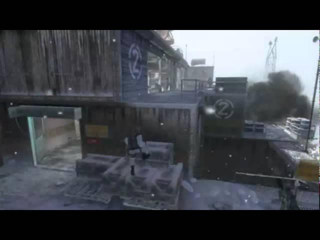 Project Goose - Black Ops Game Clip