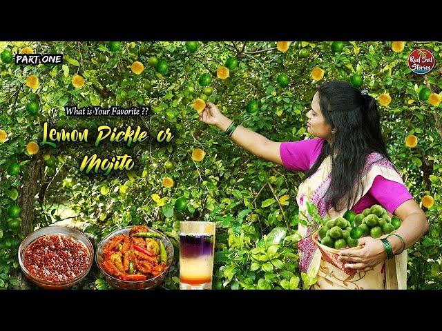 "Husband's Secret Mojito" or My Pickles | What is Your Favorite?| Village Cooking | Red Soil Stories