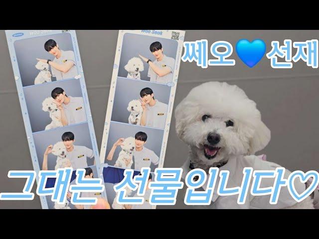 쎄오선재 | 강아지 포토이즘