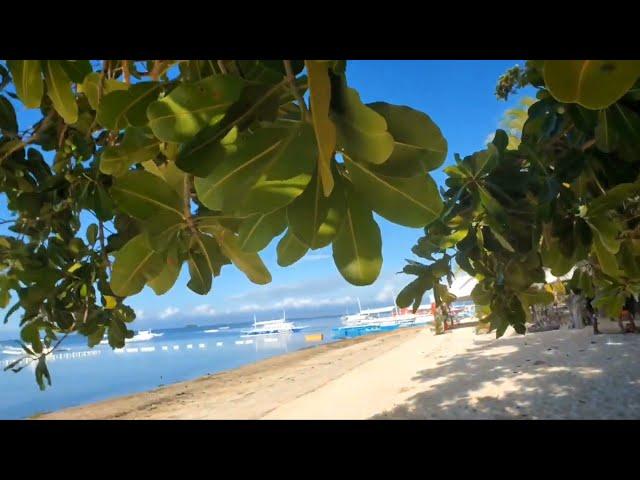 What makes Bohol Philippines a top tourists destination ./Wandering Bicolana